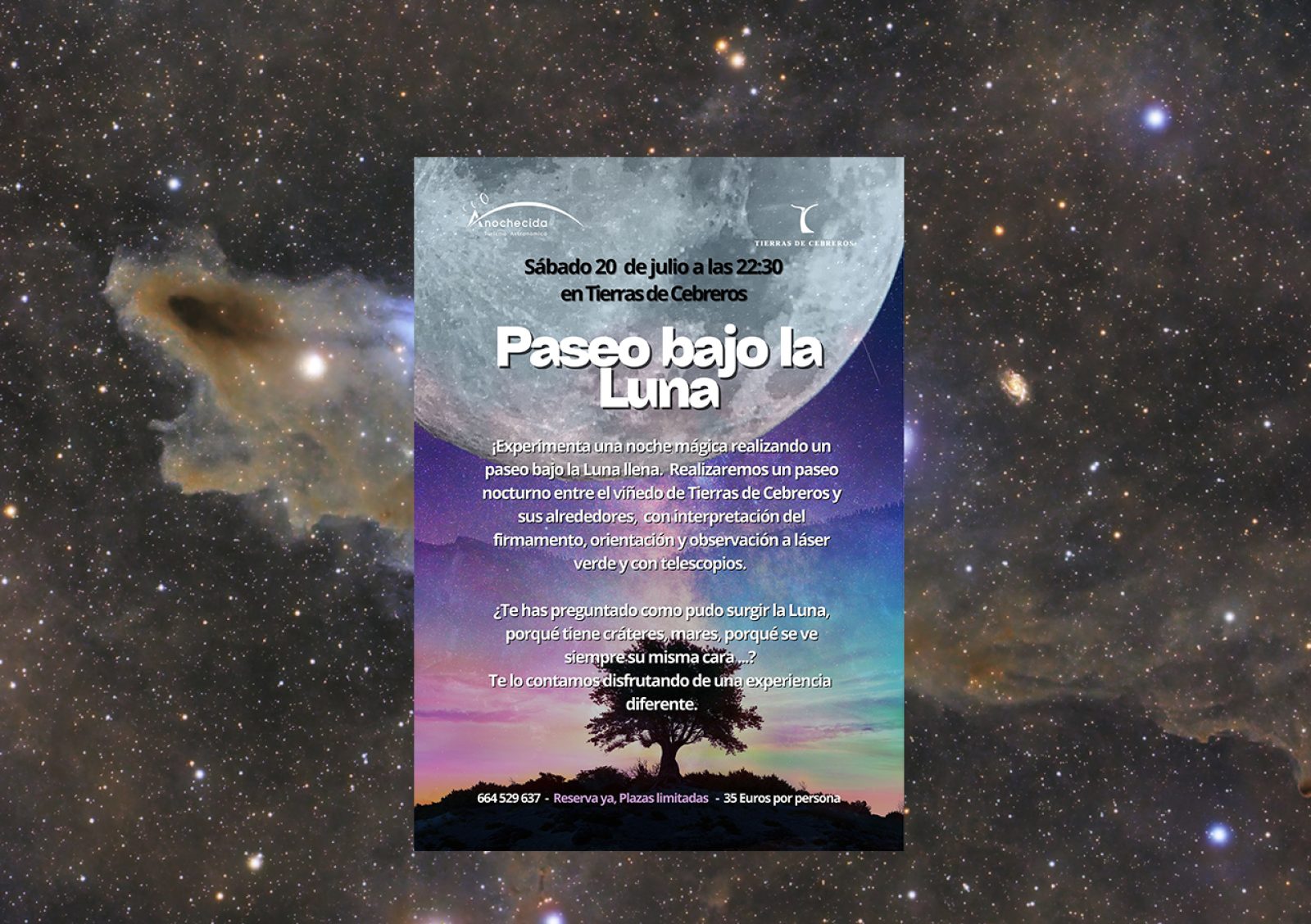 Paseo bajo la luna